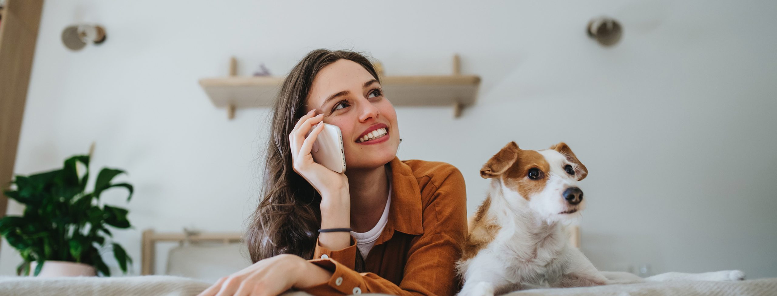 vet services for dogs from The Healthy Hound Company in Hixson TN
