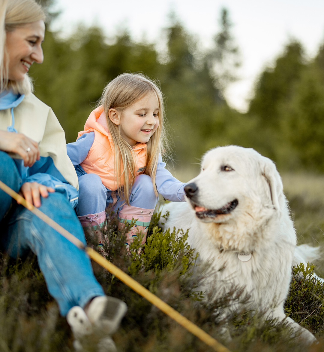 dog care services from The Healthy Hound Company in Hixson TN